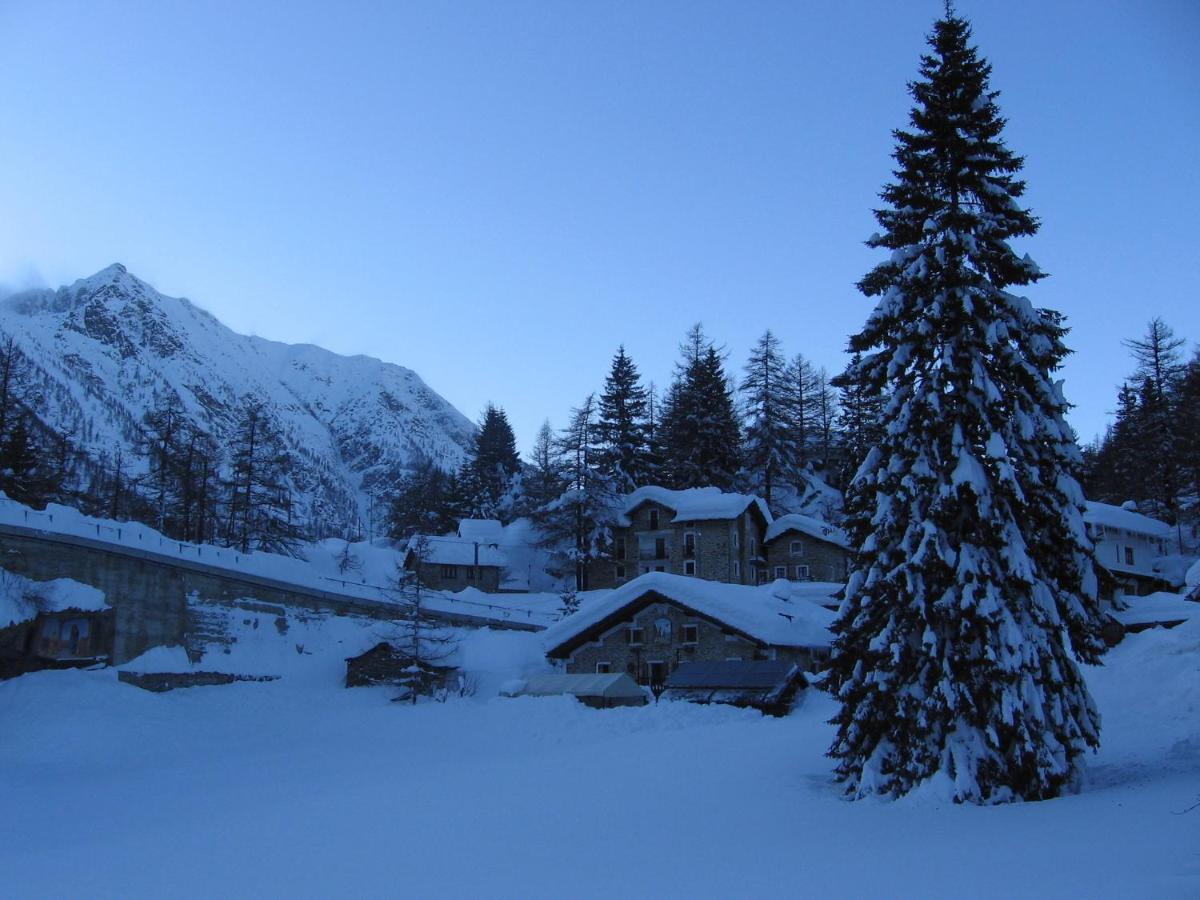 Chalet Del Lago Ceresole Reale Eksteriør bilde