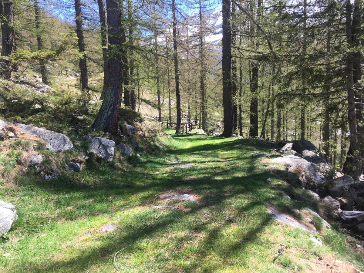 Chalet Del Lago Ceresole Reale Eksteriør bilde