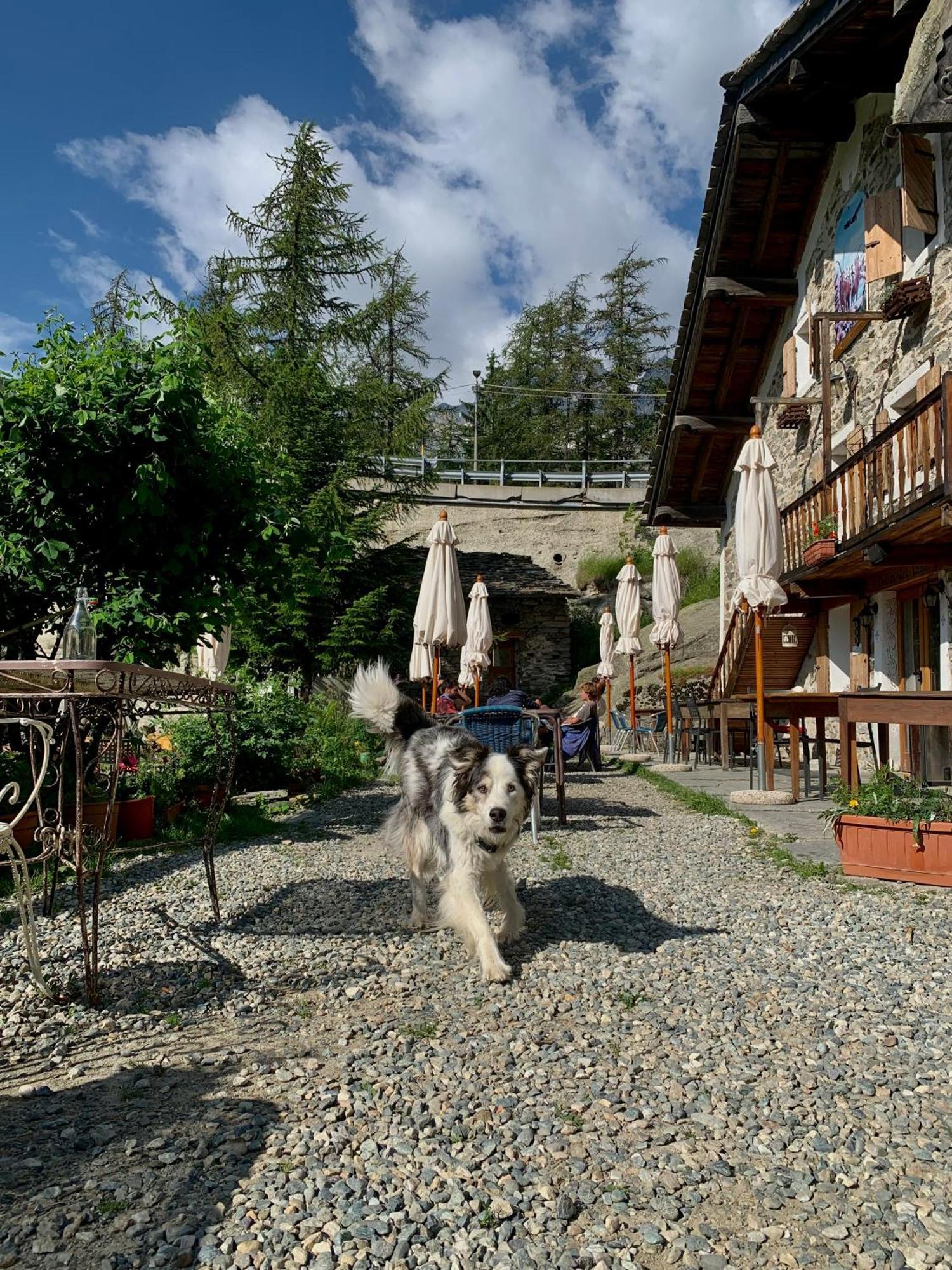 Chalet Del Lago Ceresole Reale Eksteriør bilde